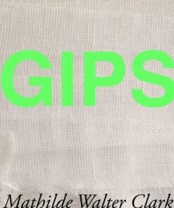 Gips - Mathilde Walter Clark - Bog