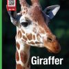 Giraffer - Læs, lyt og se (E-bog)