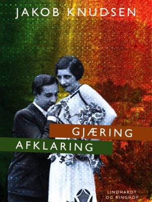 Gjæring: Afklaring (Bog)