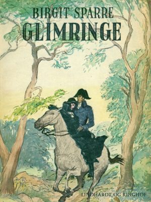 Glimringe (Bog)