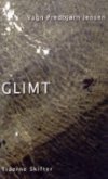 Glimt - Vagn Predbjørn Jensen - Bog