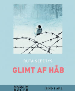 Glimt af håb (storskrift) (Bog)