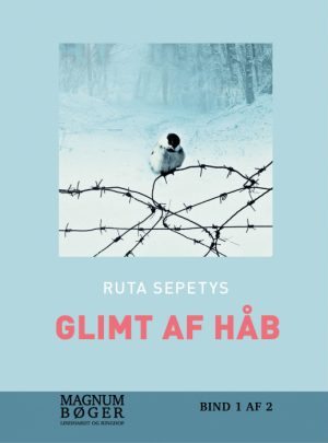 Glimt af håb (storskrift) (Bog)