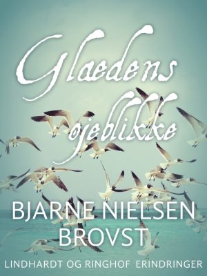 Glædens øjeblikke (E-bog)