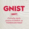 Gnist (E-bog)