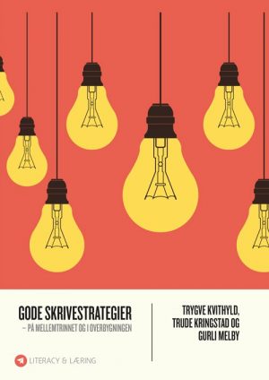 Gode Skrivestrategier - Trygve Kvithyld - Bog