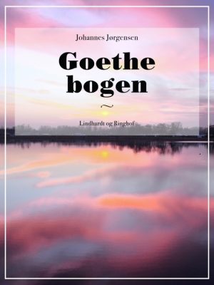Goethe bogen (E-bog)