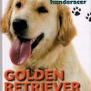 Golden retriever (Bog)