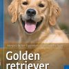 Golden retriever (Bog)