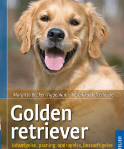Golden retriever (Bog)