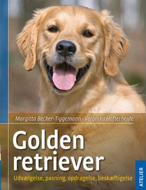 Golden retriever (Bog)