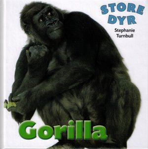 Gorilla (Bog)