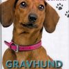 Gravhund (Bog)