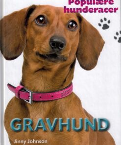 Gravhund (Bog)