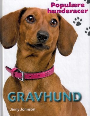 Gravhund (Bog)