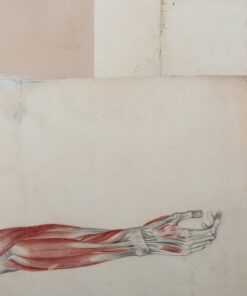 Grotten - Pia Busk - Bog