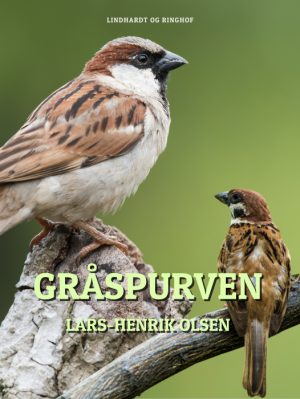 Gråspurven (E-bog)