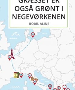 Græsset er også grønt i Negevørkenen (Bog)