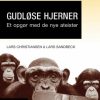 Gudløse hjerner (E-bog)