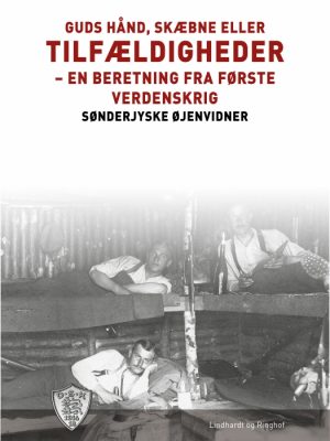 Guds hånd, skæbne eller tilfældigheder (E-bog)