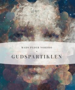 Gudspartiklen (E-bog)