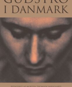 Gudstro i Danmark (E-bog)