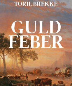 Guldfeber (Bog)