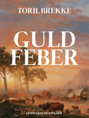 Guldfeber (Bog)