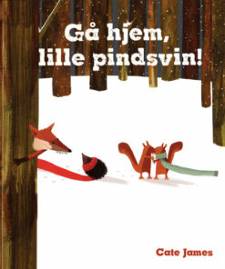 Gå hjem, lille pindsvin! (Bog)