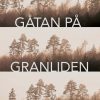 Gåtan på Granliden (E-bog)