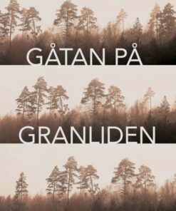 Gåtan på Granliden (E-bog)