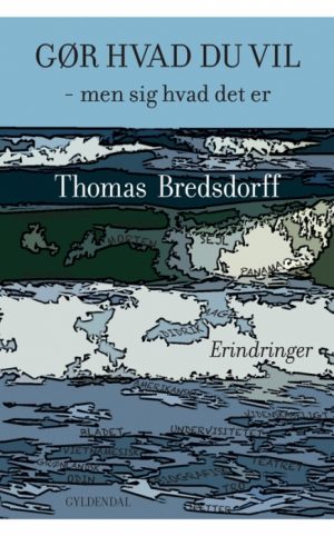 Gør hvad du vil - men sig hvad det er (Bog)