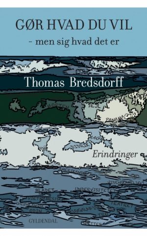 Gør hvad du vil - men sig hvad det er (E-bog)