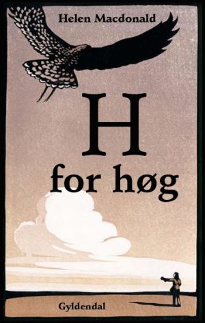 H for høg (E-bog)