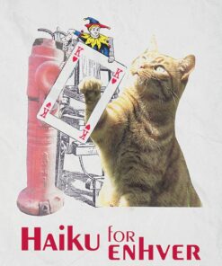 Haiku For Enhver - Viggo Madsen - Bog