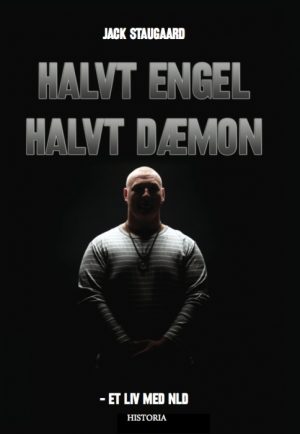 Halvt Engel, Halvt Dæmon (Bog)