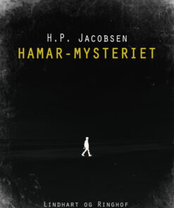 Hamar-mysteriet (Bog)