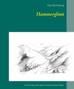 Hammerglimt - Dan Ole Faaborg - Bog