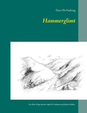 Hammerglimt - Dan Ole Faaborg - Bog