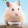 Hamster - et kæledyr, Grøn Fagklub (E-bog)