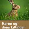 Haren og dens killinger (E-bog)