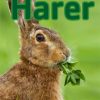 Harer (E-bog)