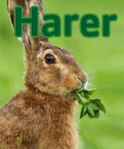 Harer (E-bog)