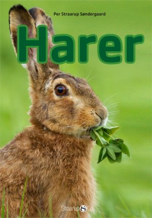 Harer (E-bog)