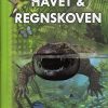 Havet & regnskoven (Bog)