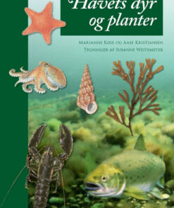 Havets dyr og planter (Bog)