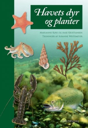 Havets dyr og planter (Bog)