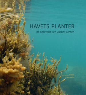 Havets planter (Bog)