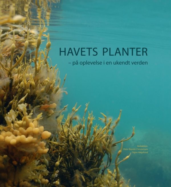 Havets planter (Bog)