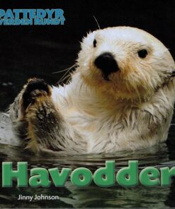 Havodder (Bog)